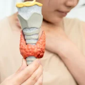A girl is showing the thyroid gland model