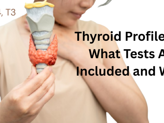 Thyroid Profile 101: What Tests Are Included and Why?